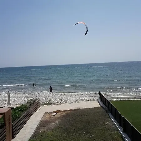 Seafront Party 皮尔瓦利亚